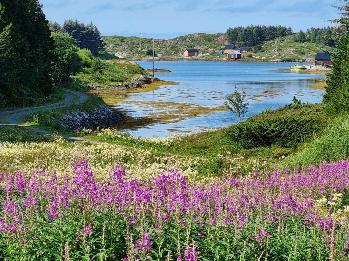 Vollvaagen Apartments Smøla, boat included Buitenkant foto